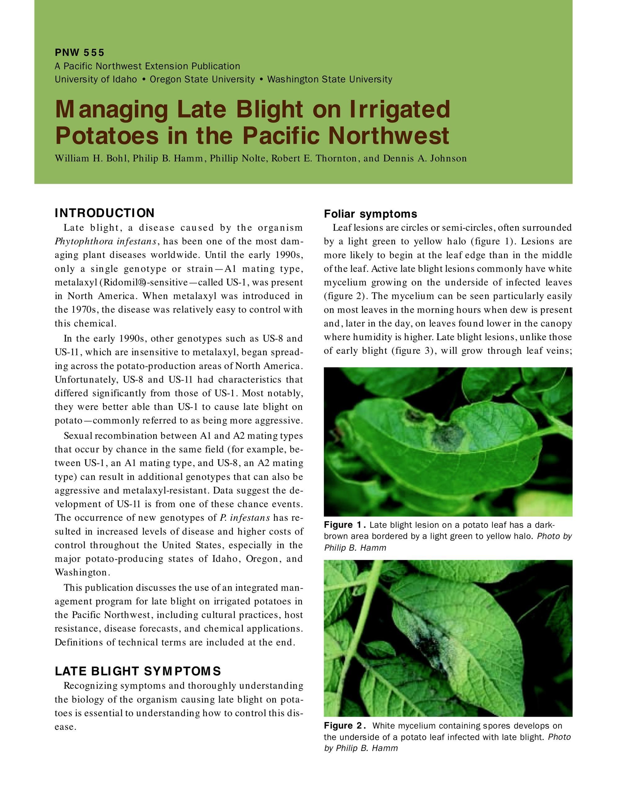 Image of Managing Late Blight on Irrigated Potatoes in the Pacific Northwest publication
