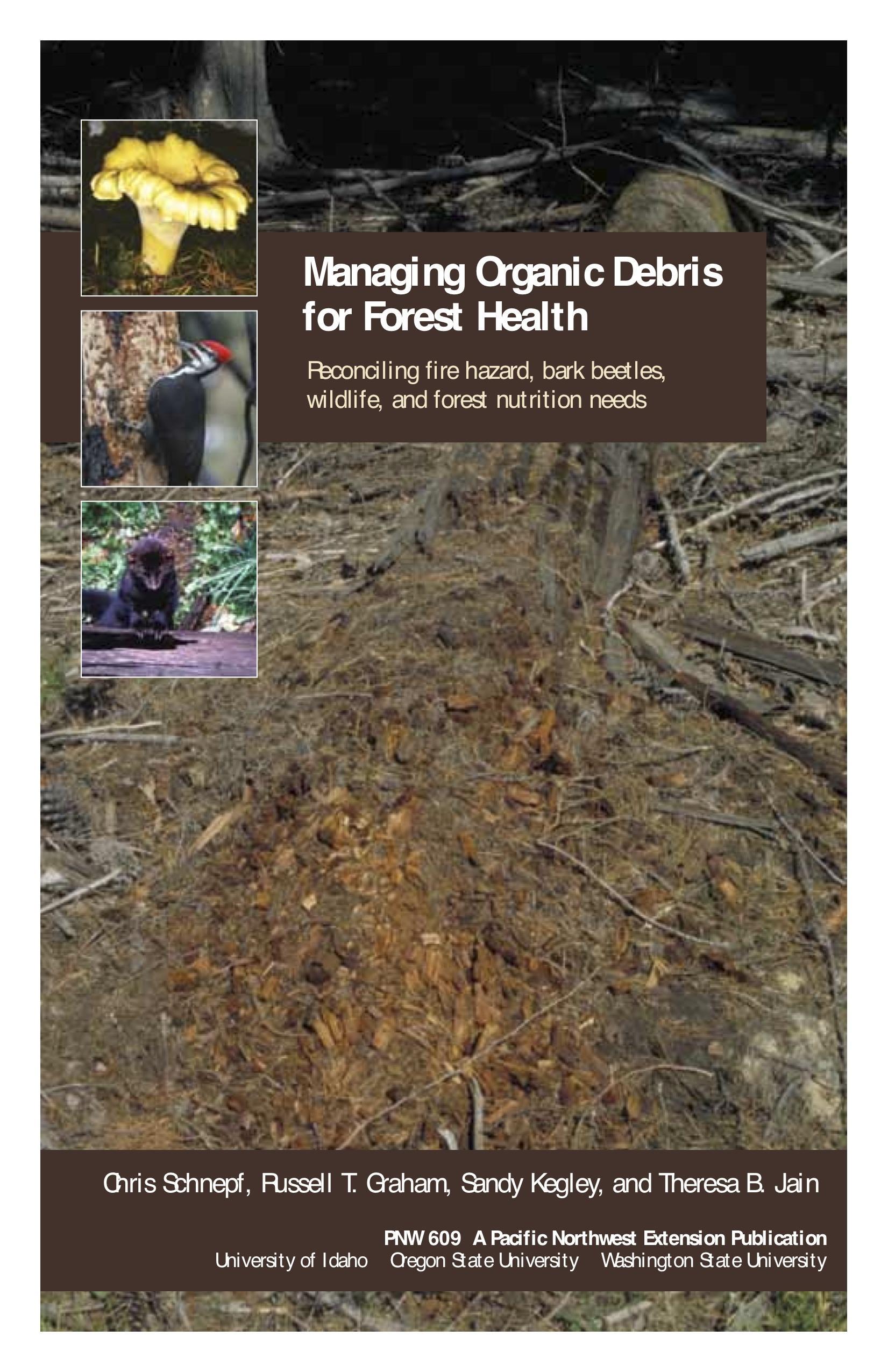 Image of Managing Organic Debris for Forest Health publication
