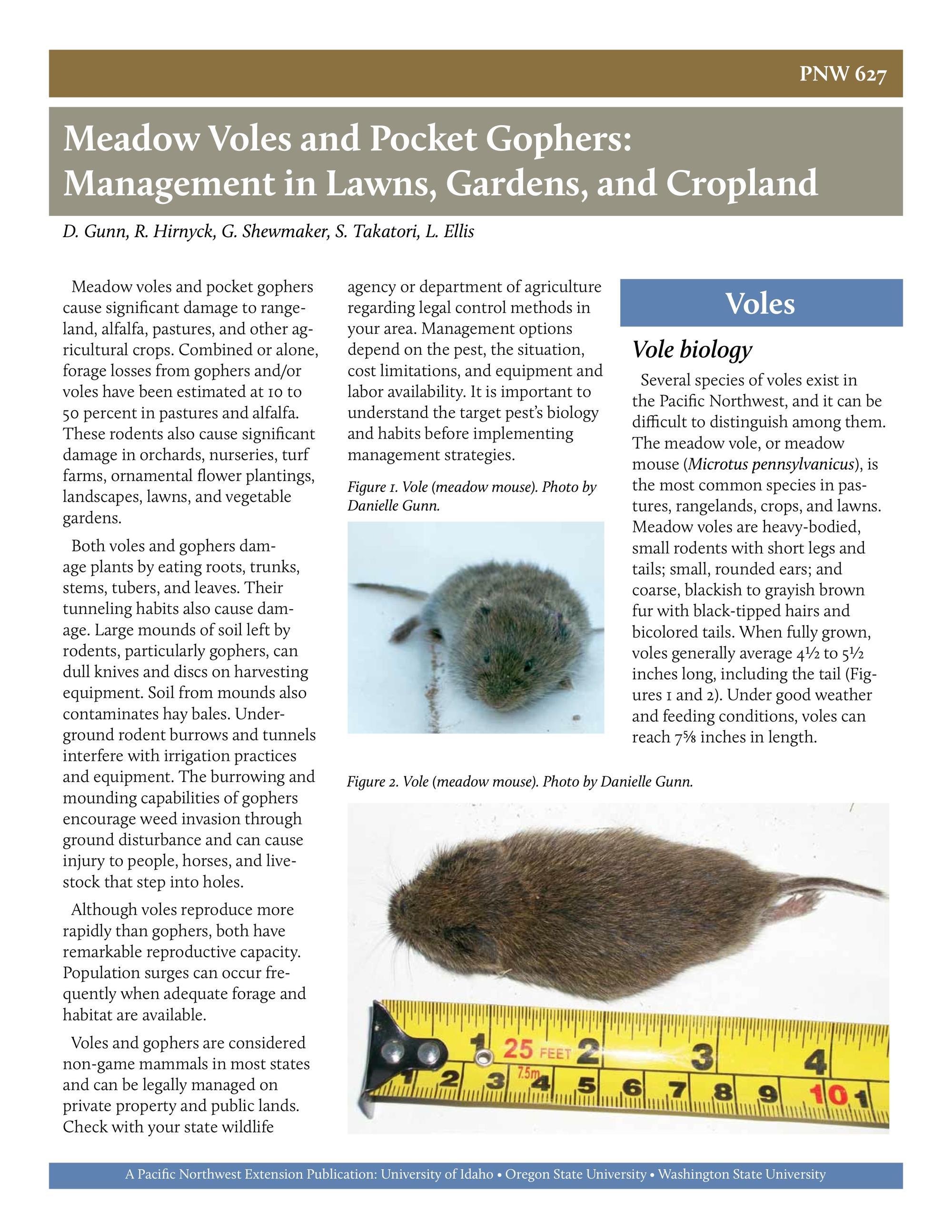 Image of Meadow Voles and Pocket Gophers: Management in Lawns, Gardens, and Croplands publication