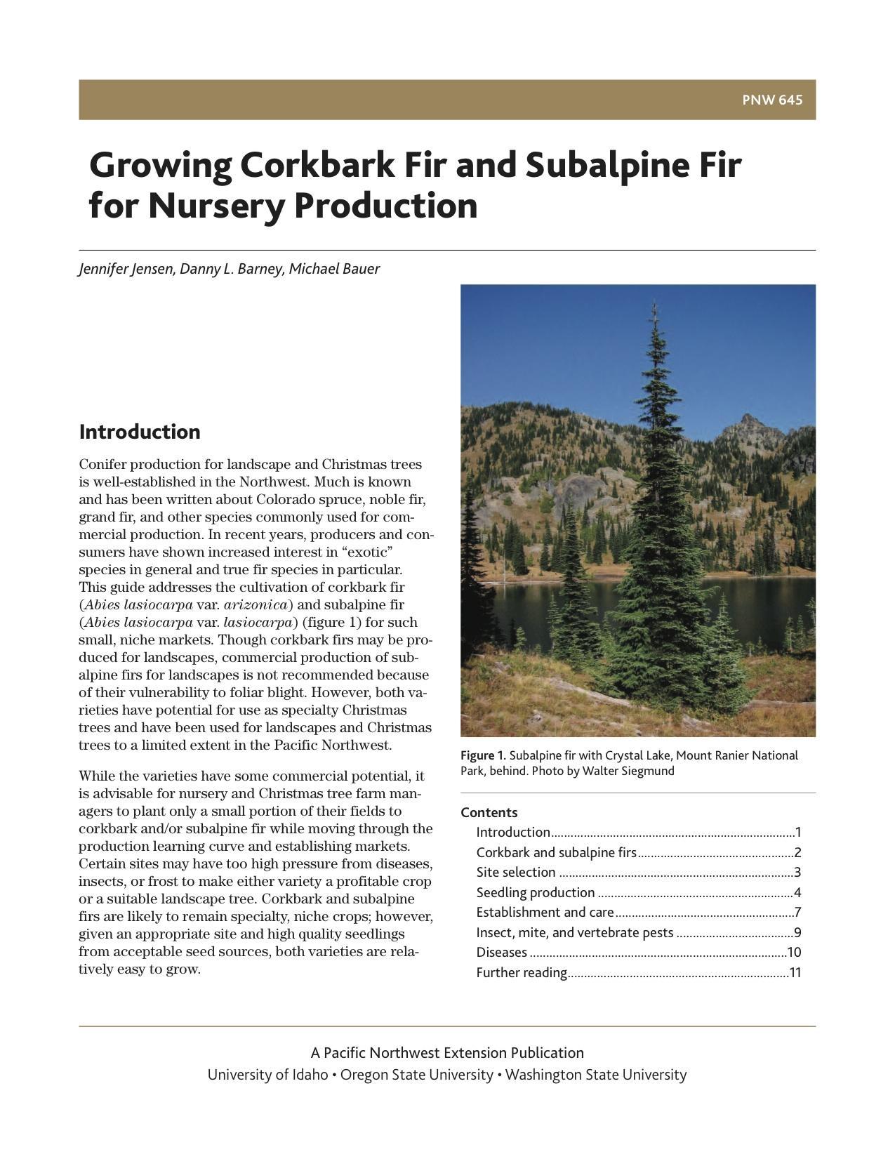 Image of Growing Corkbark Fir and Subalpine Fir for Nursery Production publication
