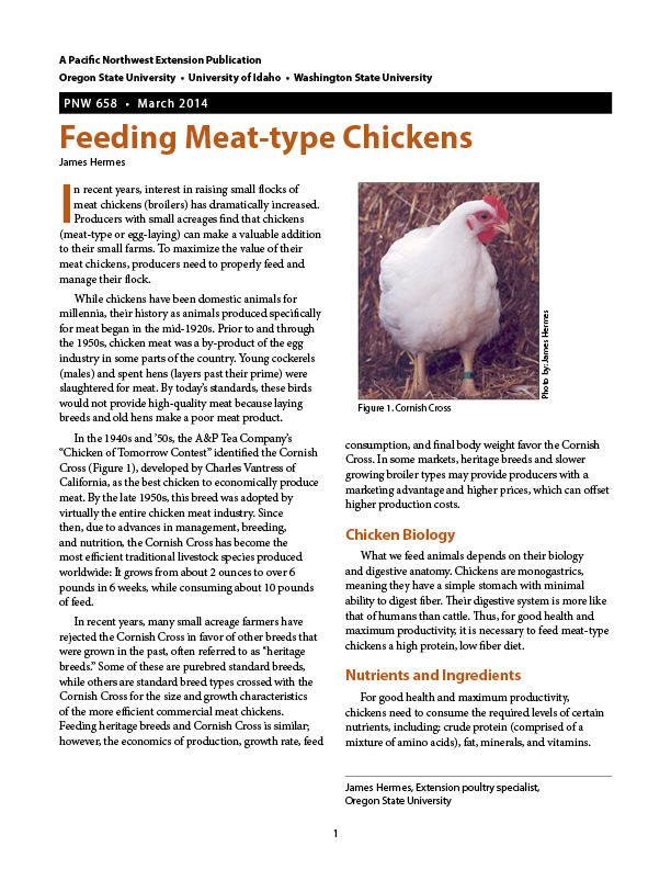 Image of Feeding Meat-Type Chickens publication