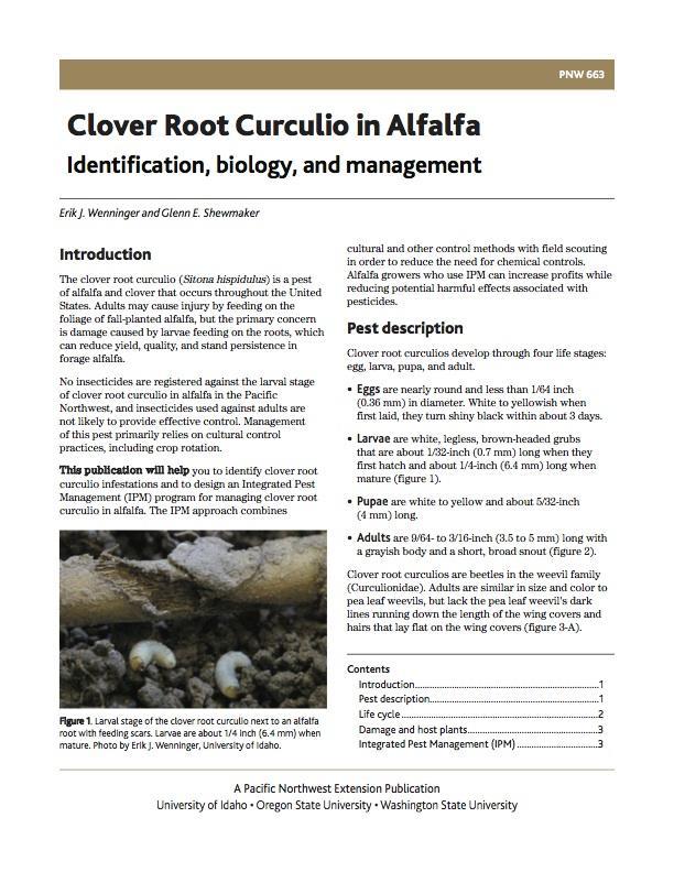 Image of Clover Root Curculio in Alfalfa: Identification, Biology, and Management publication