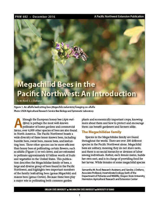 Cover image of "Megachilid Bees in the Pacific Northwest: An Introduction" publication