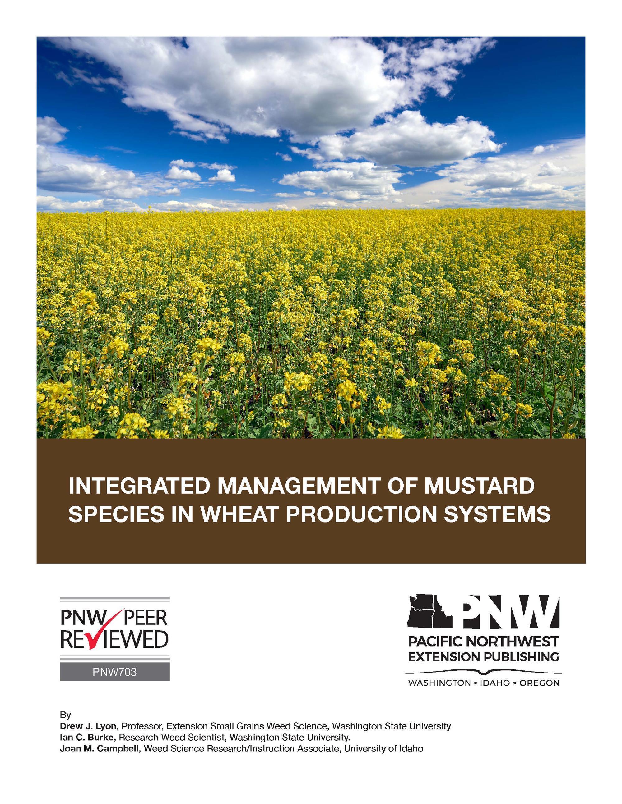 mustard field under clouded blue sky cover of publication