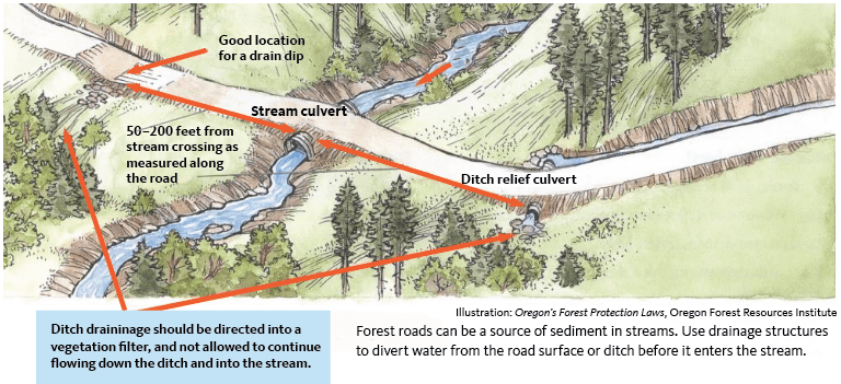 Illustration showing: stream culvert and good location for drain dip and ditch relief culvert both as 50-200 feet from stream crossing as measured along the road.