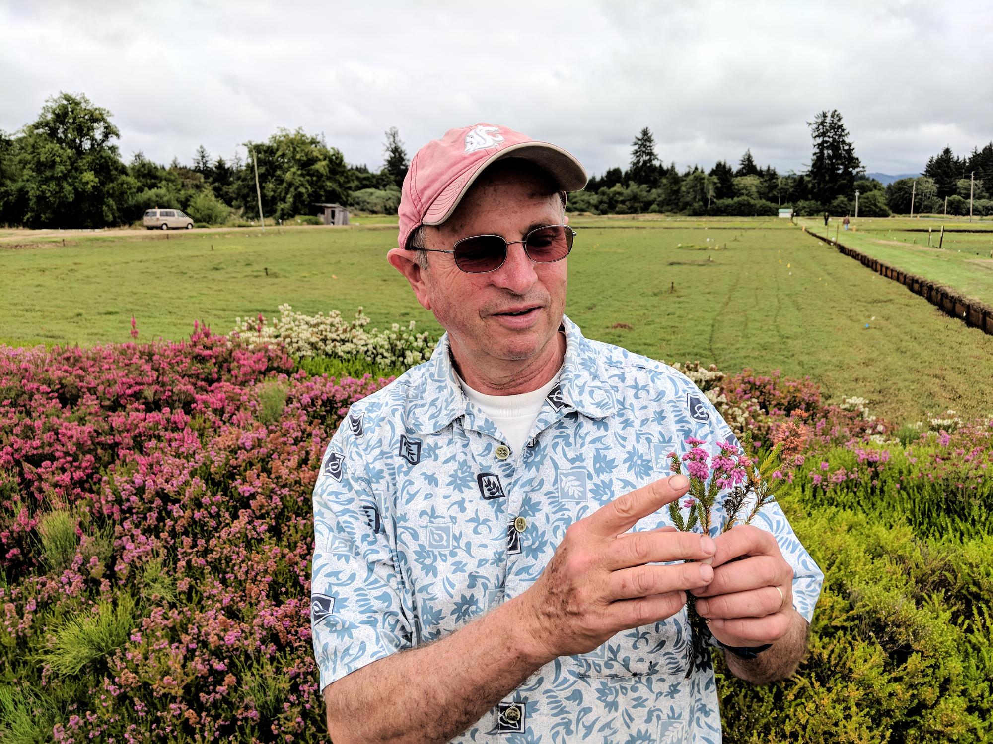 Man in ballcap holds heather sprigs