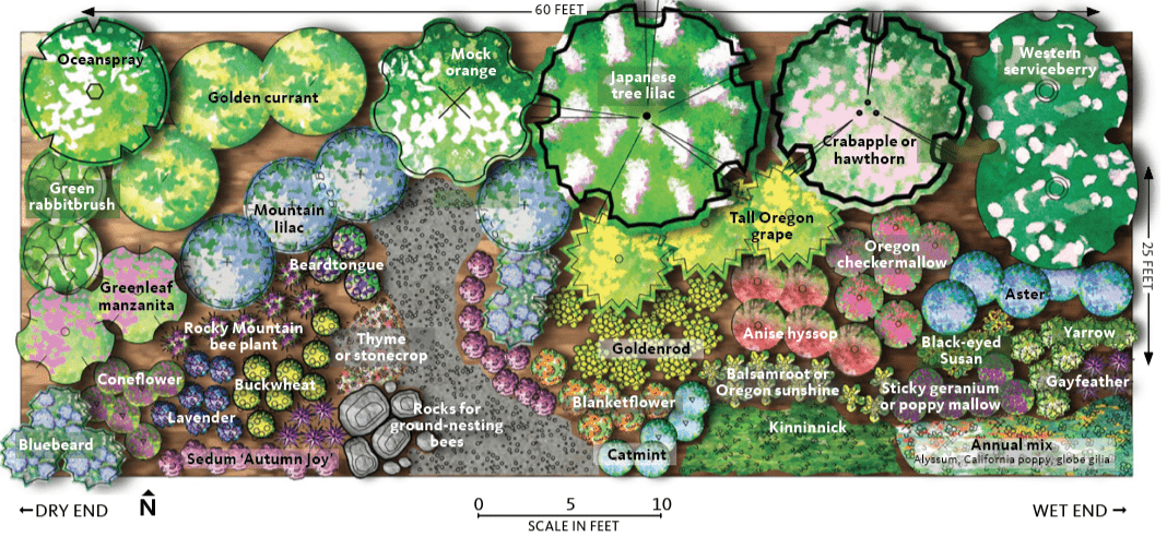 Central and southern Oregon pollinator garden design, spring through fall