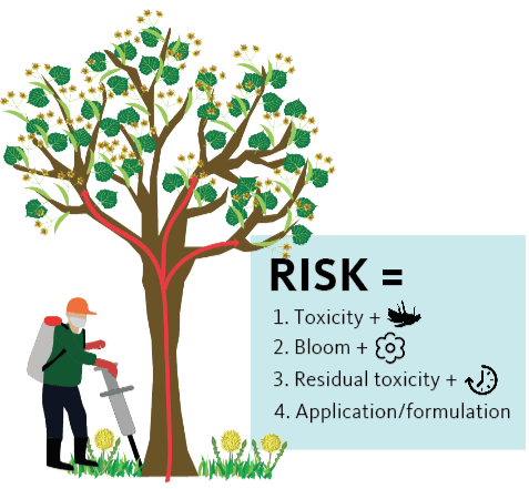 Figure apply insecticide to tree. Risk equals toxicity plus bloom plus residual toxicity plus application/formulation.