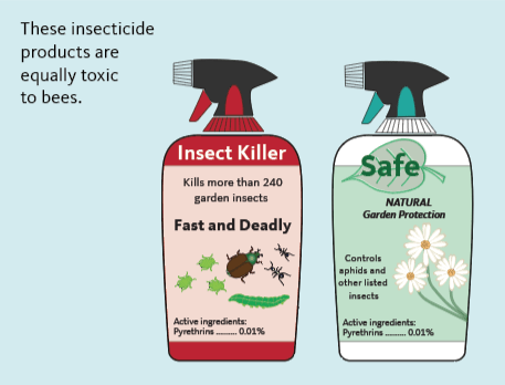 These insecitide productas are equally toxic to bees. Illustration of two bottles, on labeled insect killer, Fast and Deadly, other labeled Safe and natural. Both contain pyrethin.