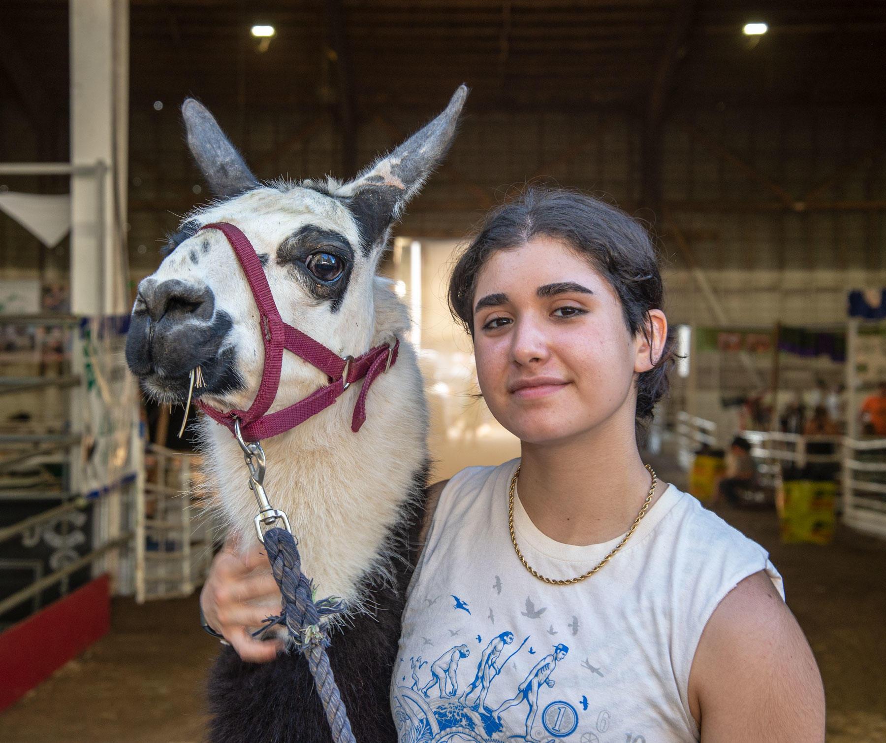 Sid Lefranc showed llamas for several years before capping their 4-H career at the 2022 Clackamas County Fair.