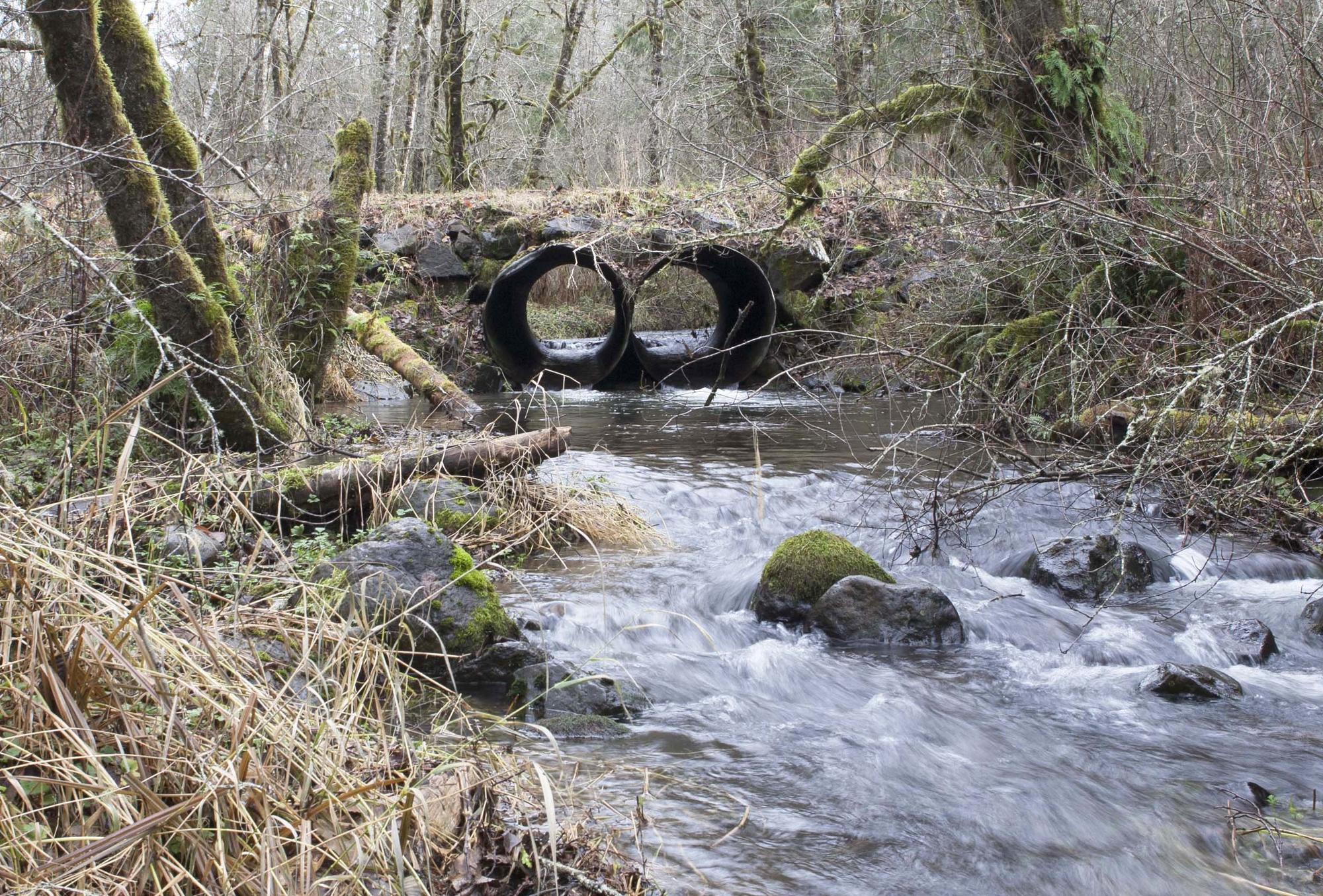 Creek with two culverts in place to allow water flow.