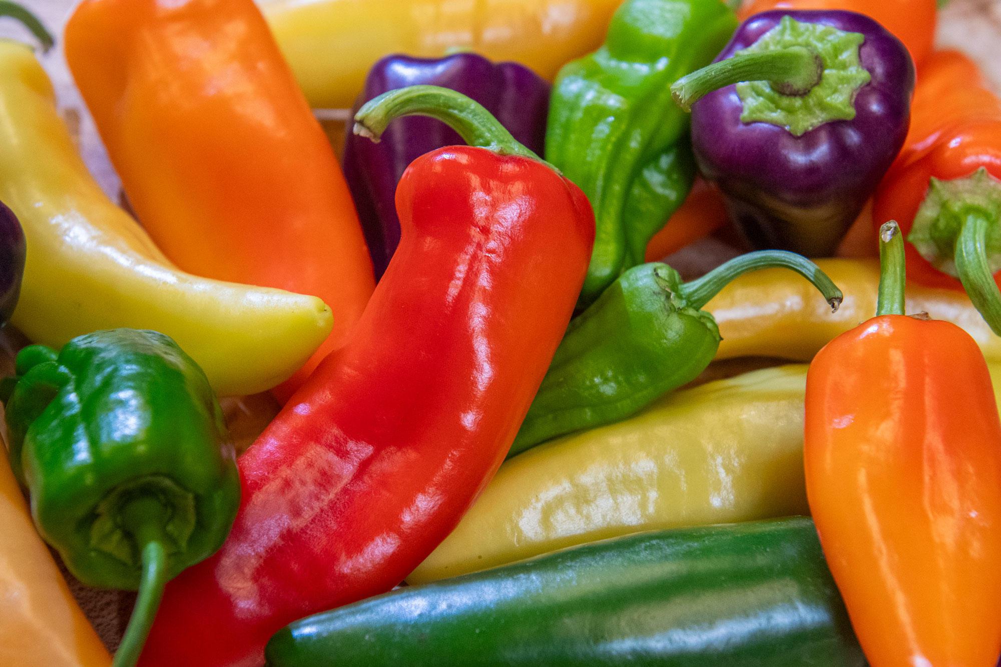 Growing peppers in maritime Northwest is more challenging than in Mexico, but it can be done.