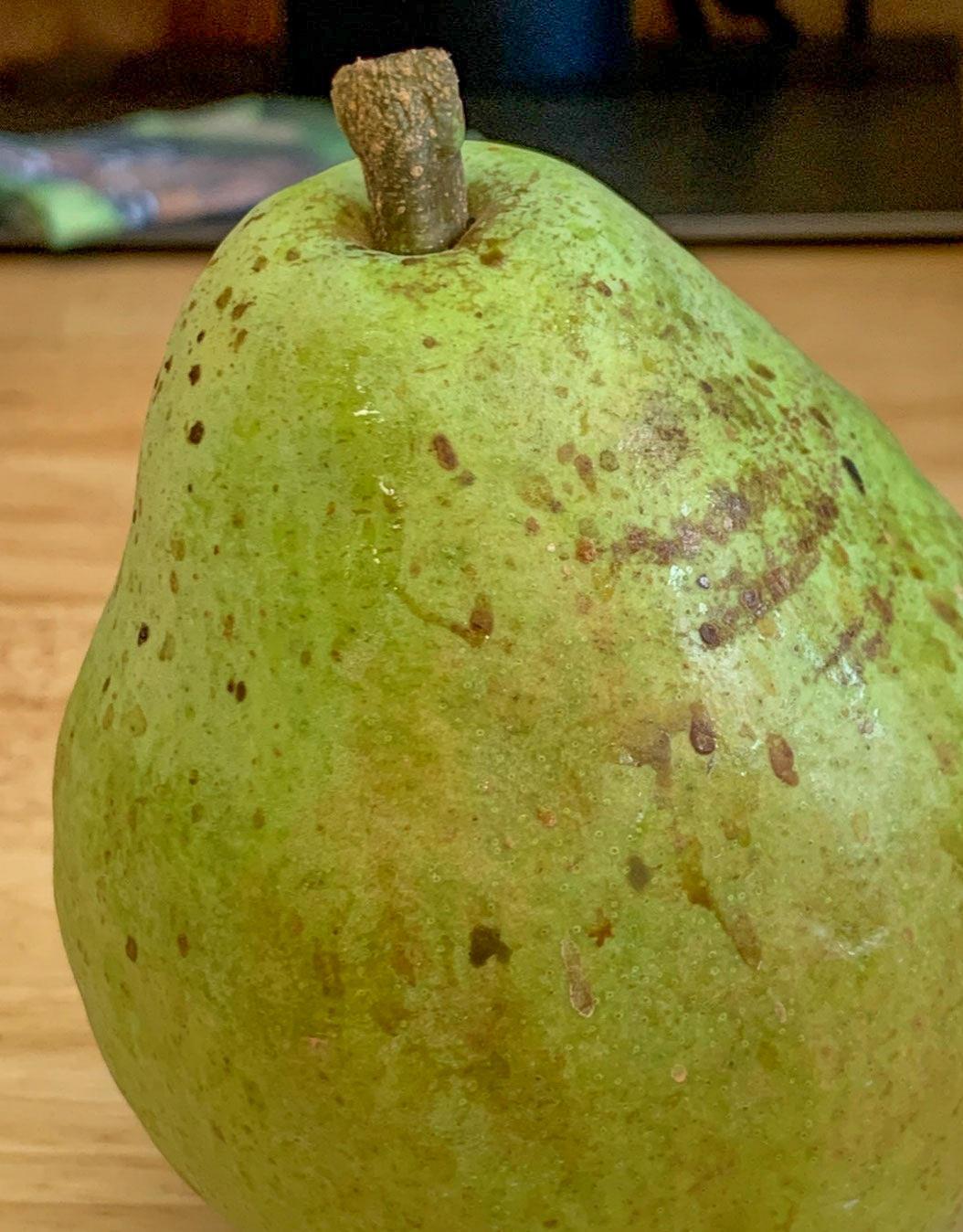 green pear with many brown markings on skin