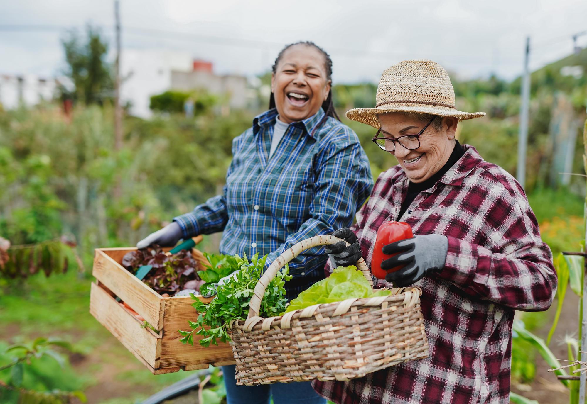 two people smiling in garden carrying freshly picked produce boxes