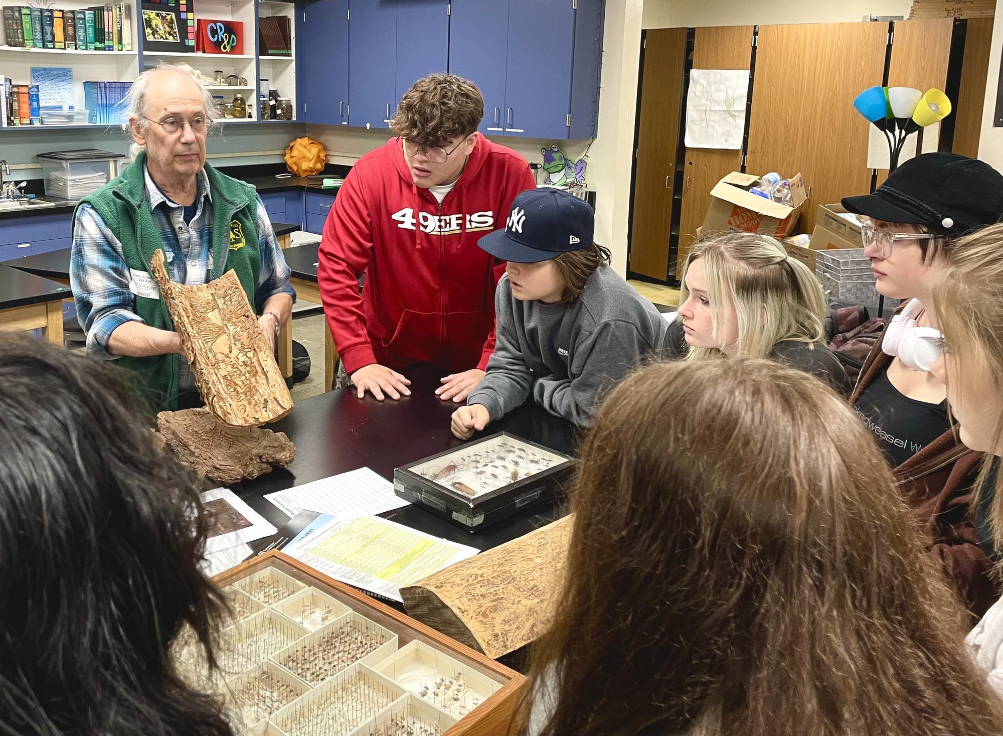 Students gather around a table to look at a section of wood damaged by insects