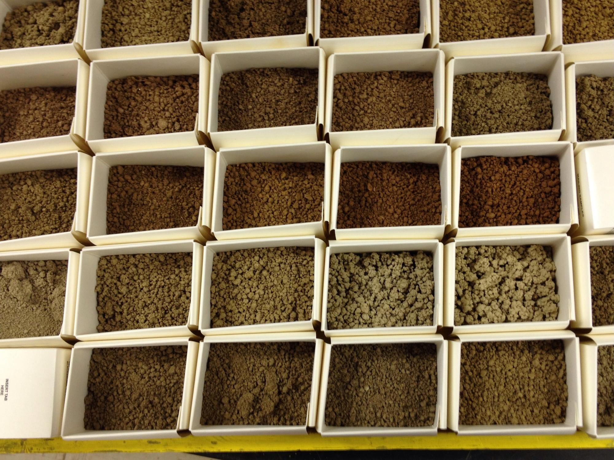 Boxes of soil samples arranged in a grid