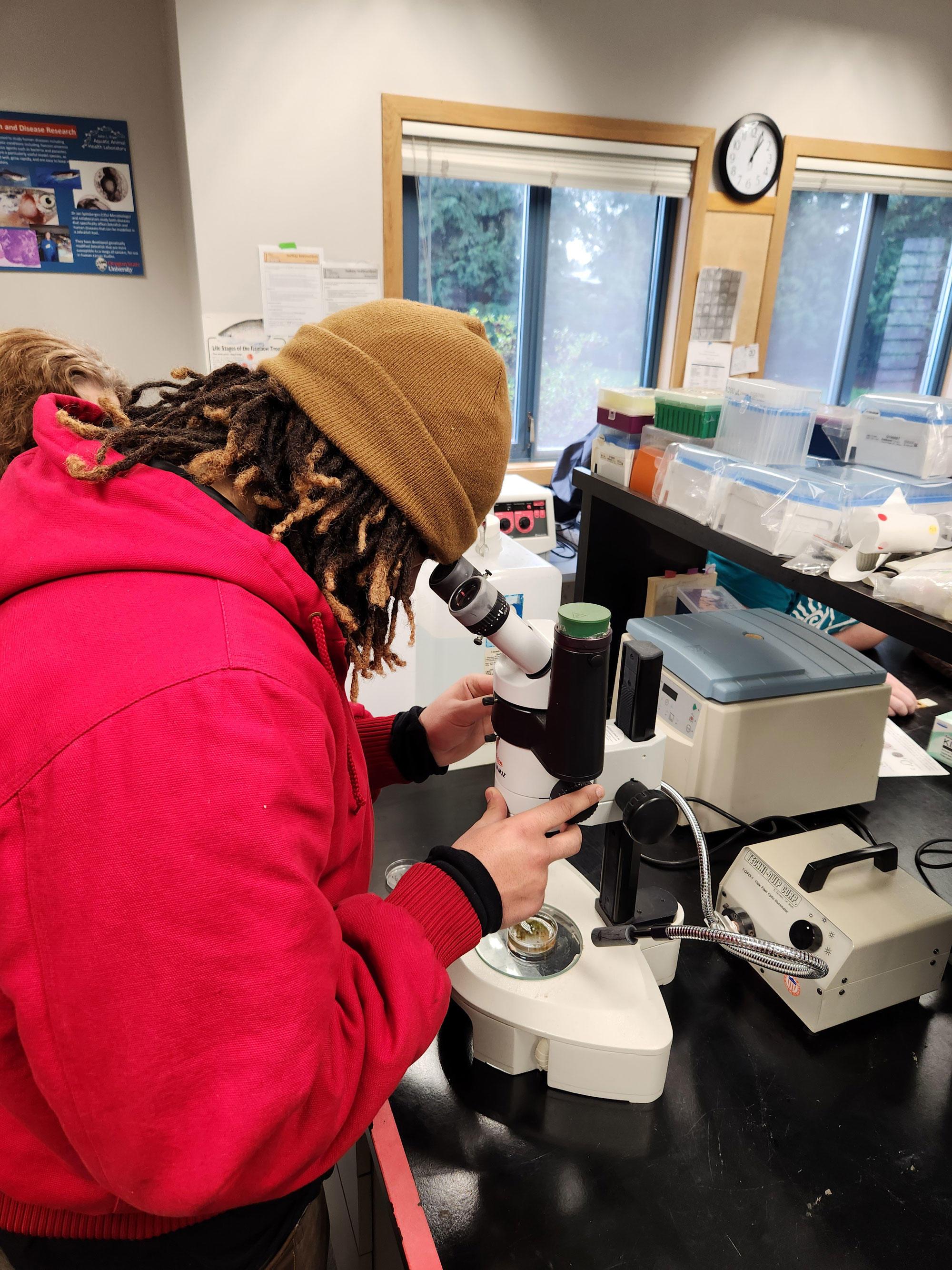 A student from Alliance at Joseph Meek Technical High School in Portland looks in a microscope at Oregon State University’s John L. Fryer Aquatic Animal Health Laboratory.