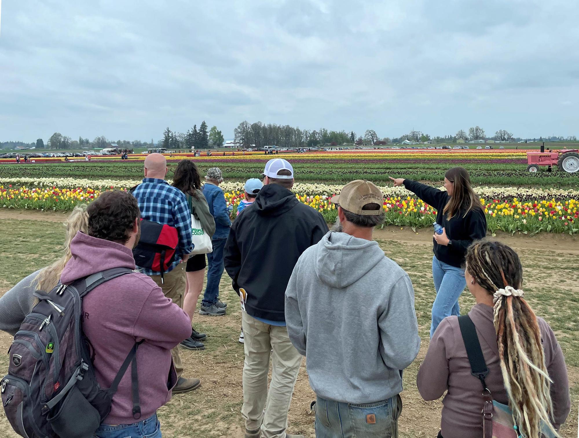 a guide shows a tour group where to go in front of a field of yellow and red tulips