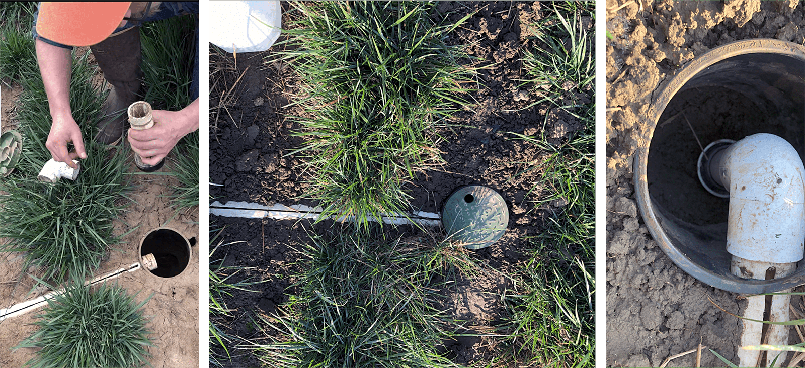 Person collegcts insects from a trap, left; middle, PVC pile with lengthwise slit partially buried in field, round cover in center; right, pipe corner goes into circular well
