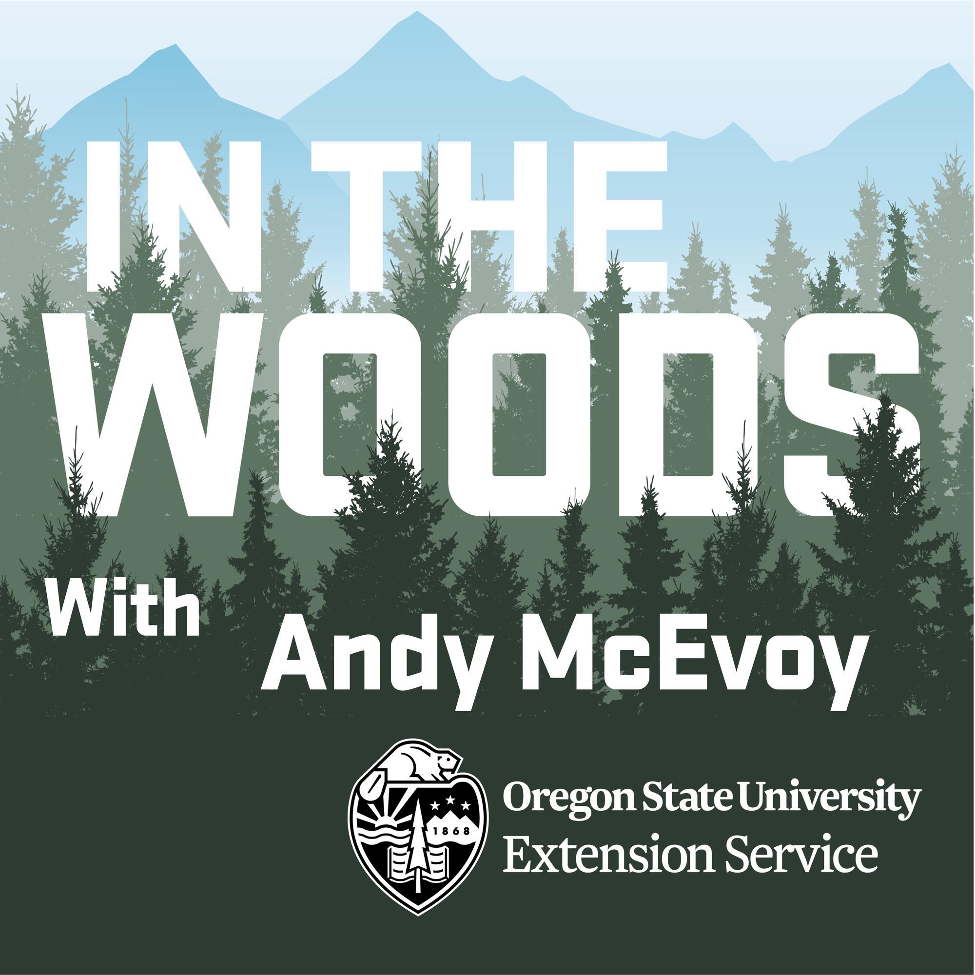 In the woods logo and show title. Vector image of mountains in background, with forest in foreground. Block text reads: In the woods with Andy McEvoy.
