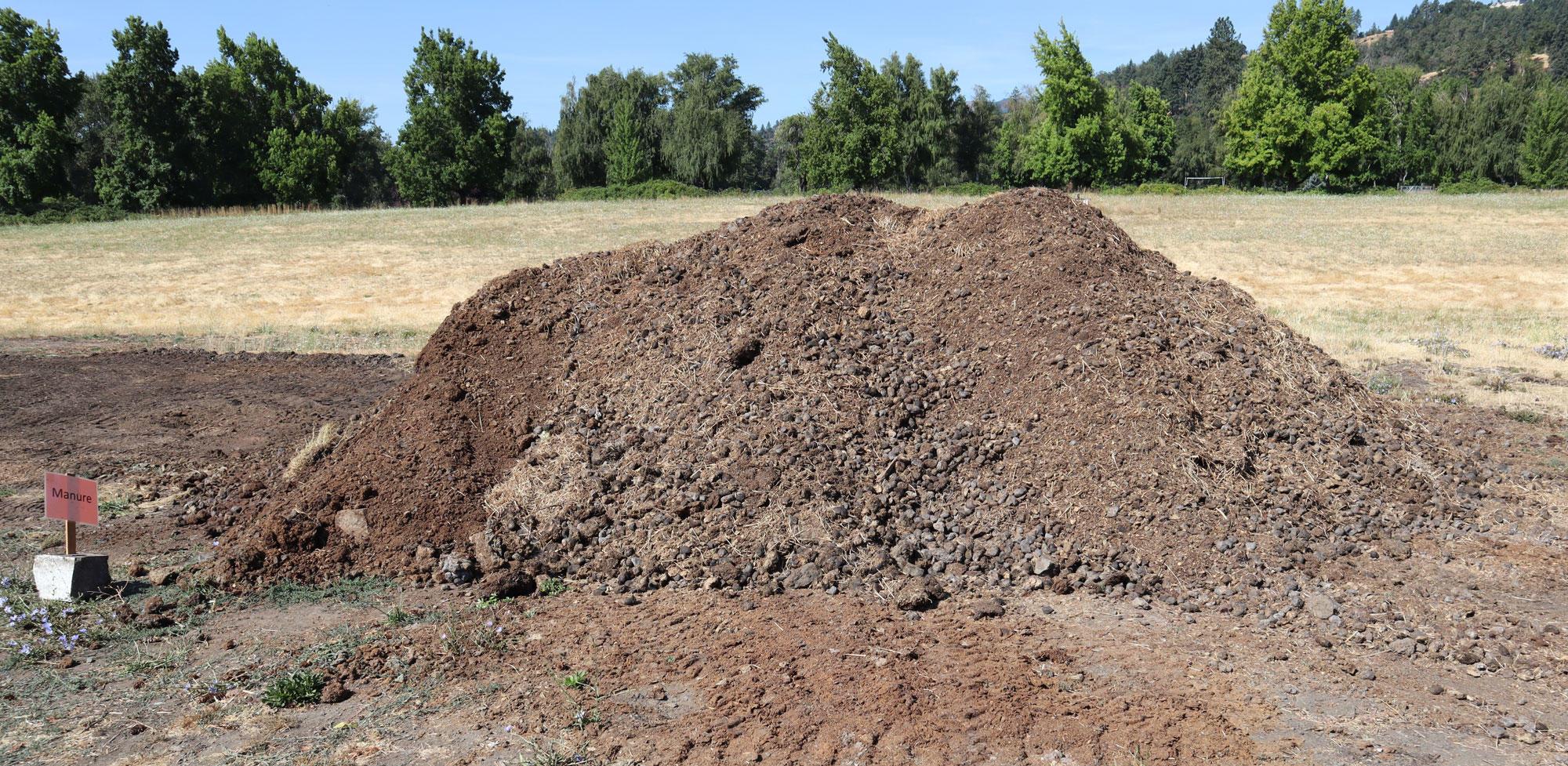 Livestock manure is rich in nutrients that make it a great organic fertilizer for your garden.