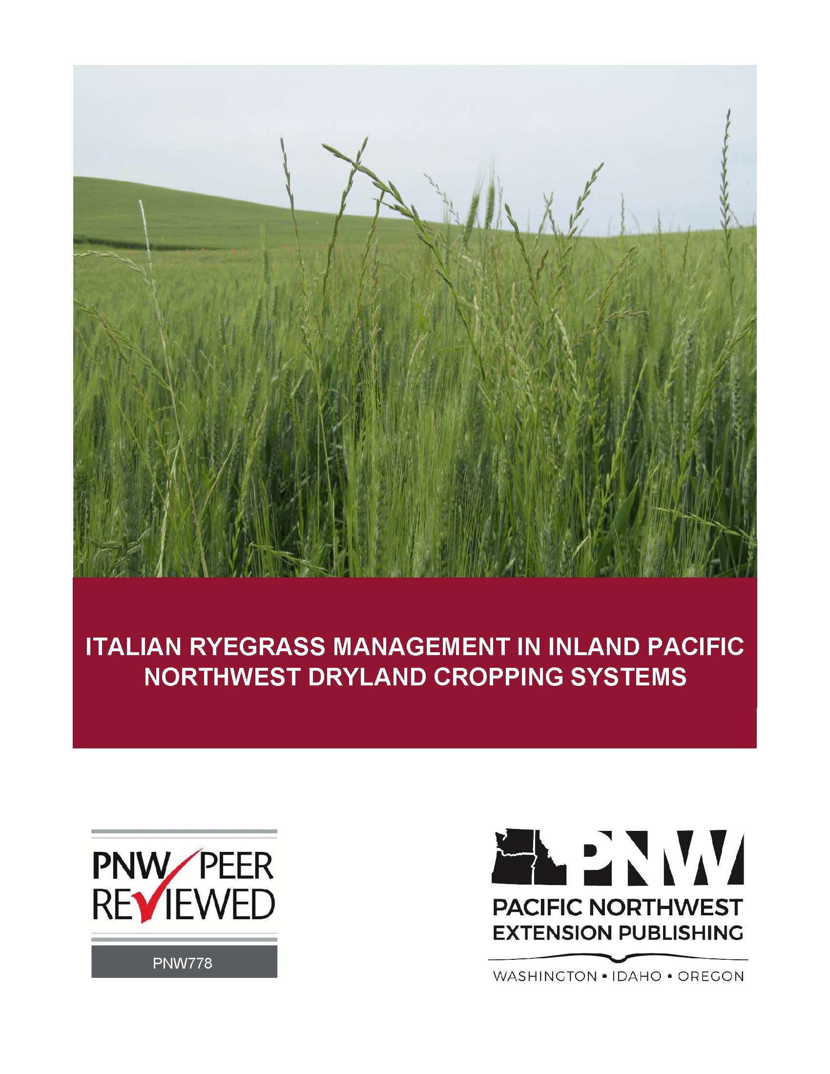 cover image of italian ryegrass PNW publication