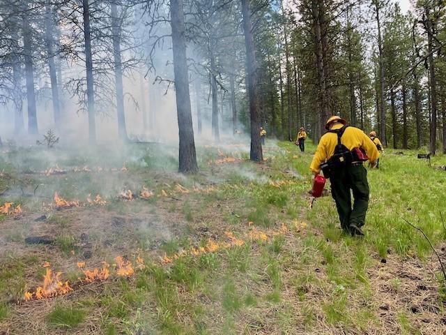 The Fire Program developed prescribed fire training for the Natural Resources Conservation Service.
