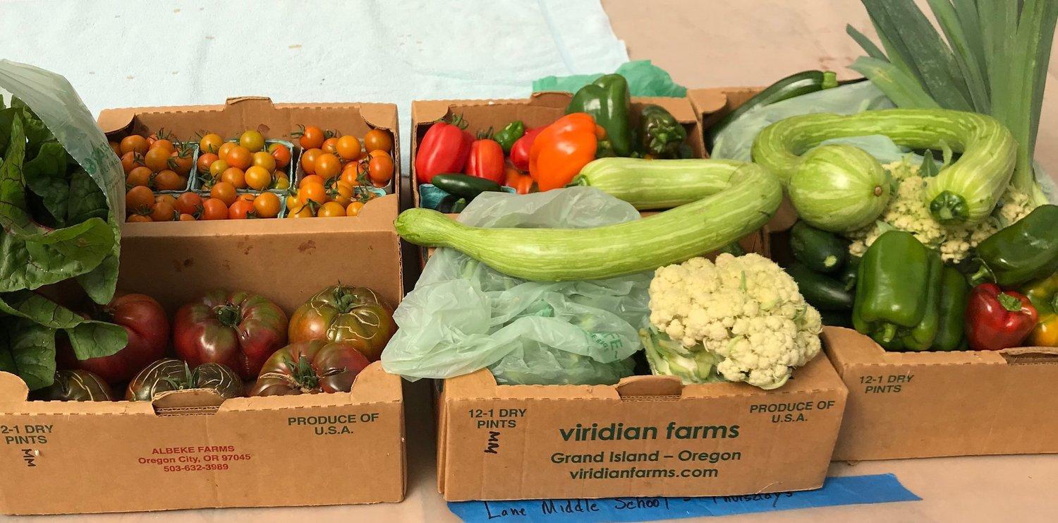 Cardboard boxes filled with vegetables.