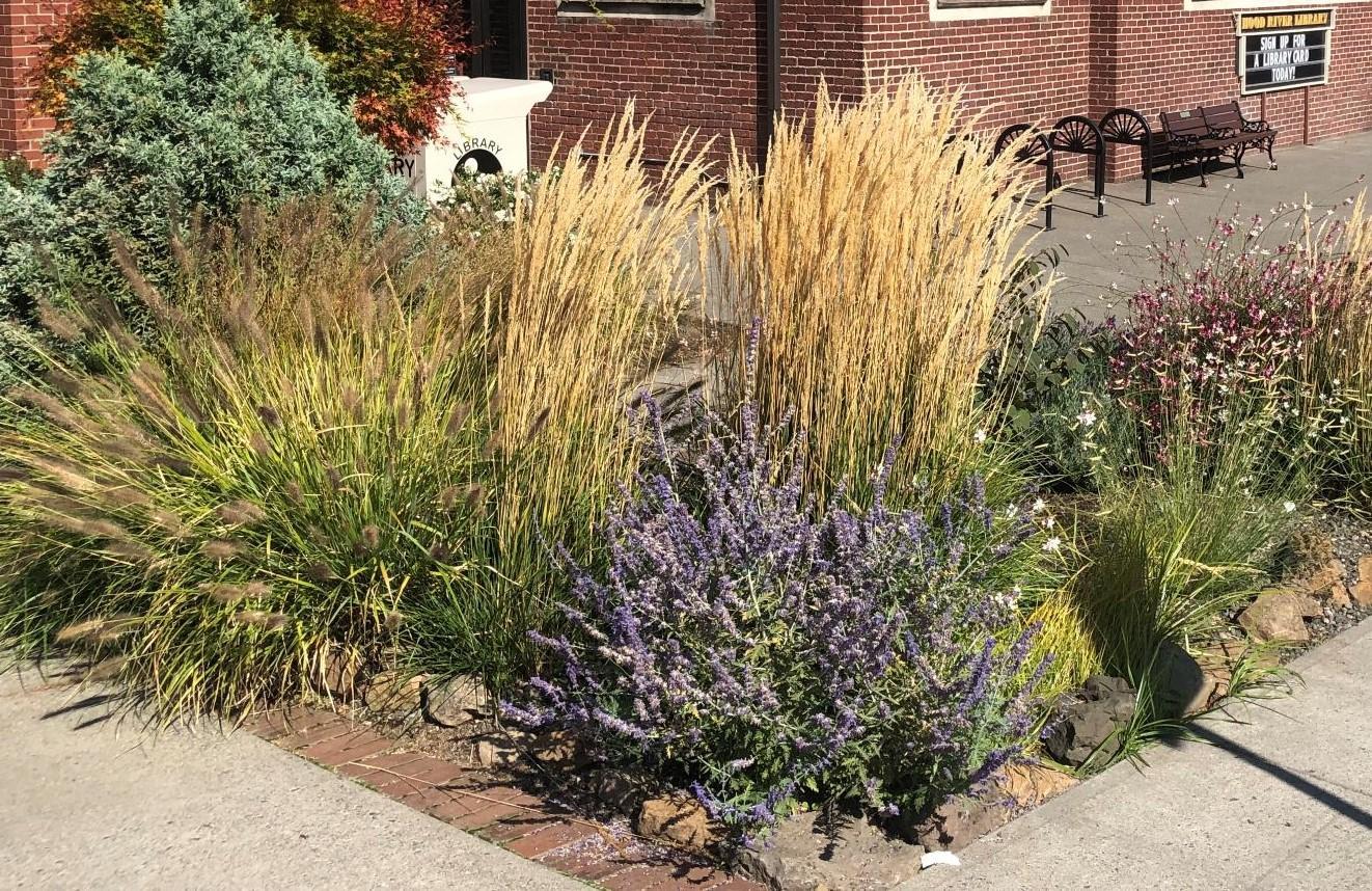 Waterwise Garden at the Hood River Library