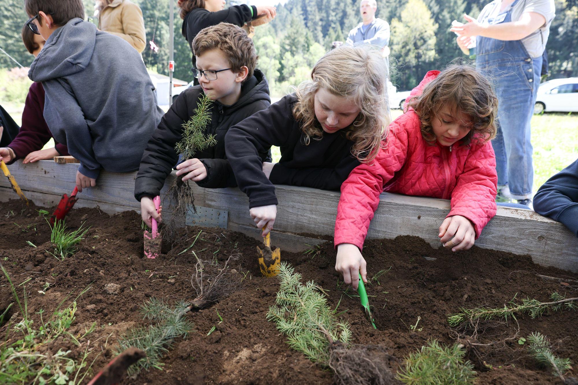 Boys and girls use trowels to plant tree seedlings.