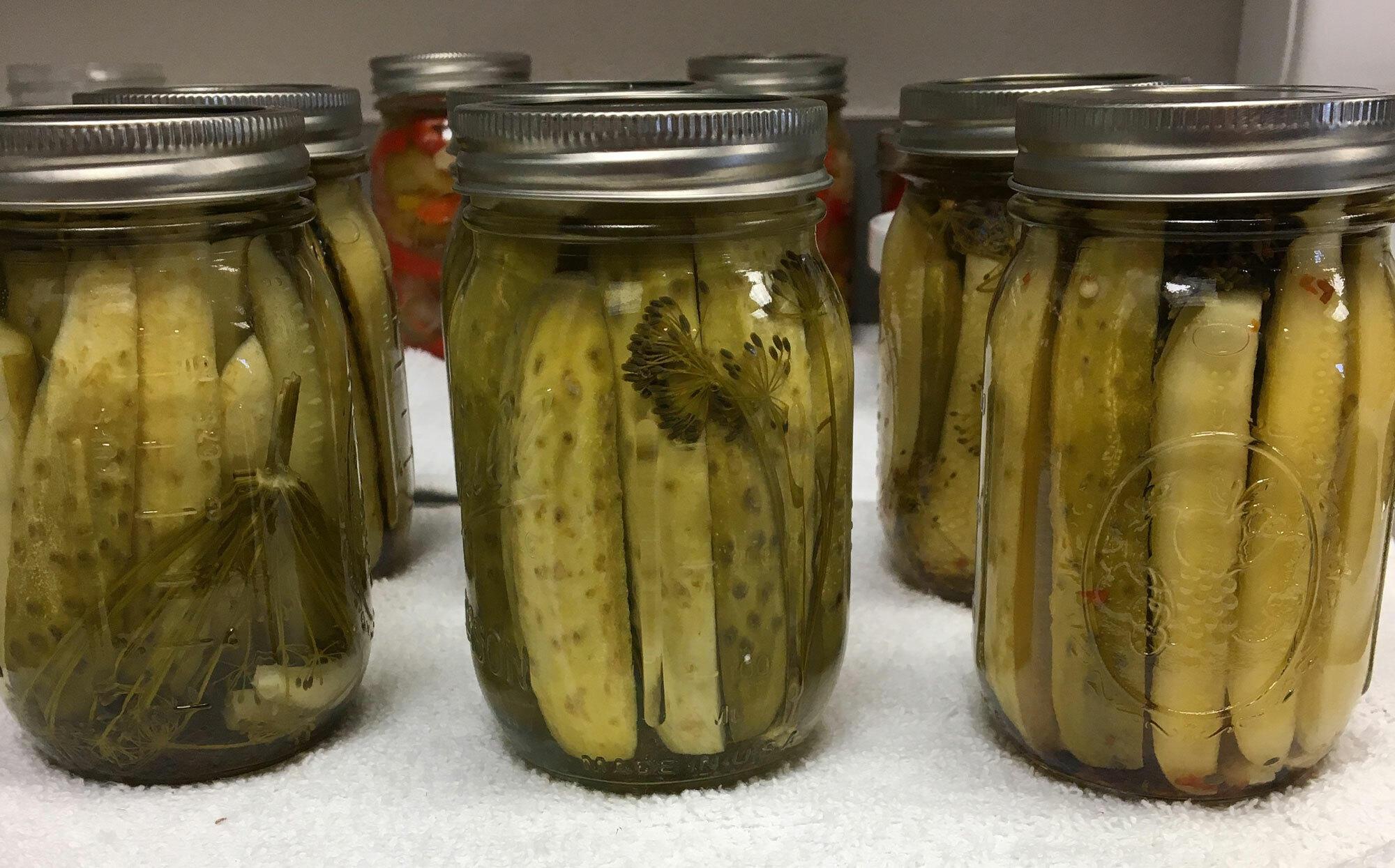Preserved dill pickles