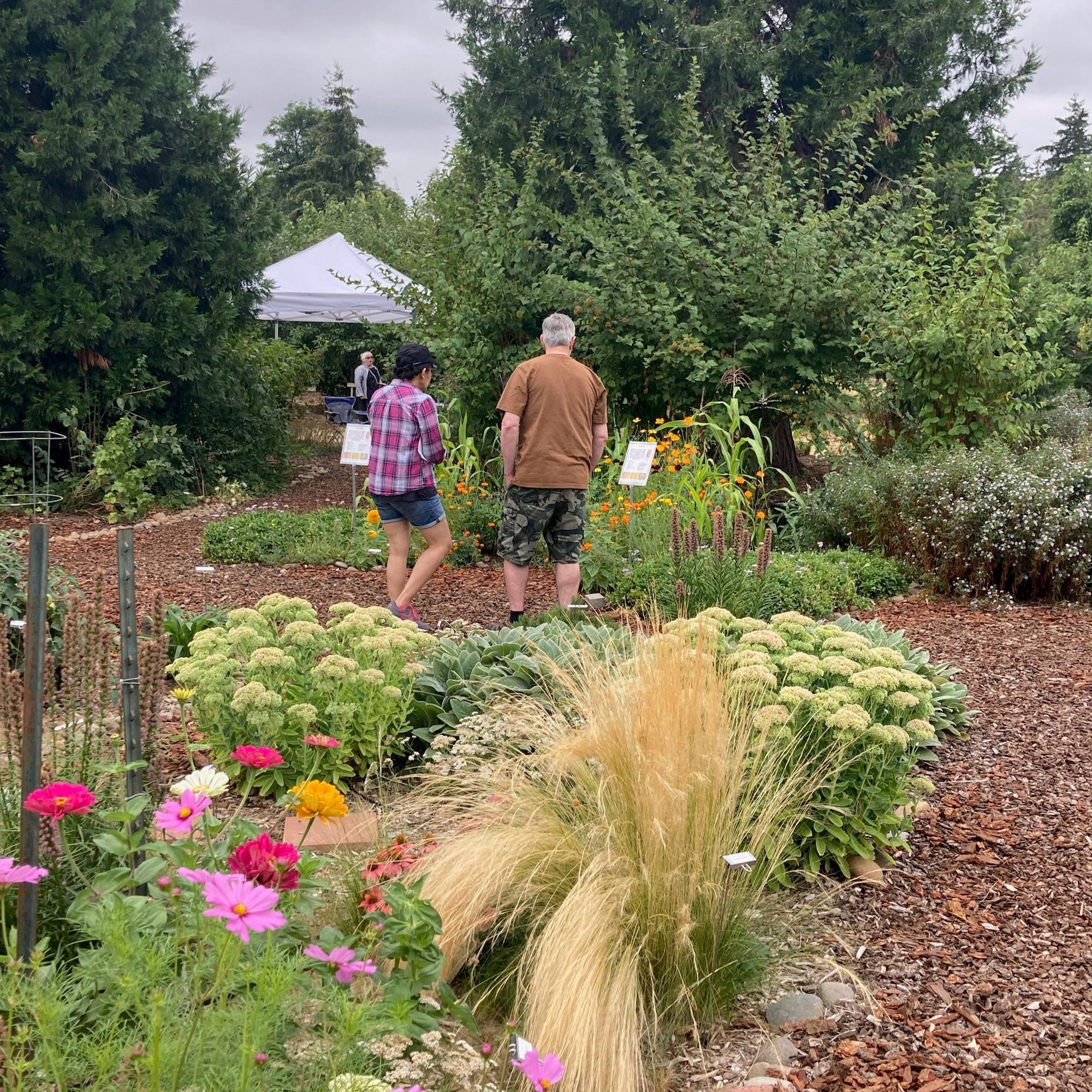 People touring a garden.