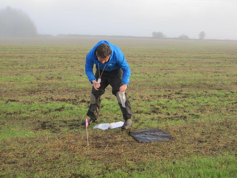 Rory Mc Donnell scoting for slugs infected by parasitic nematodes.