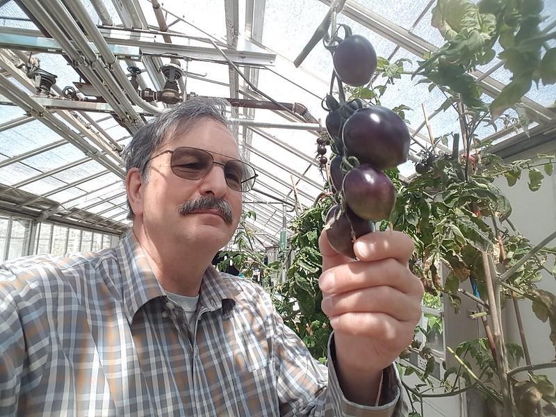 Jim Myers poses with Midnight Roma tomato.