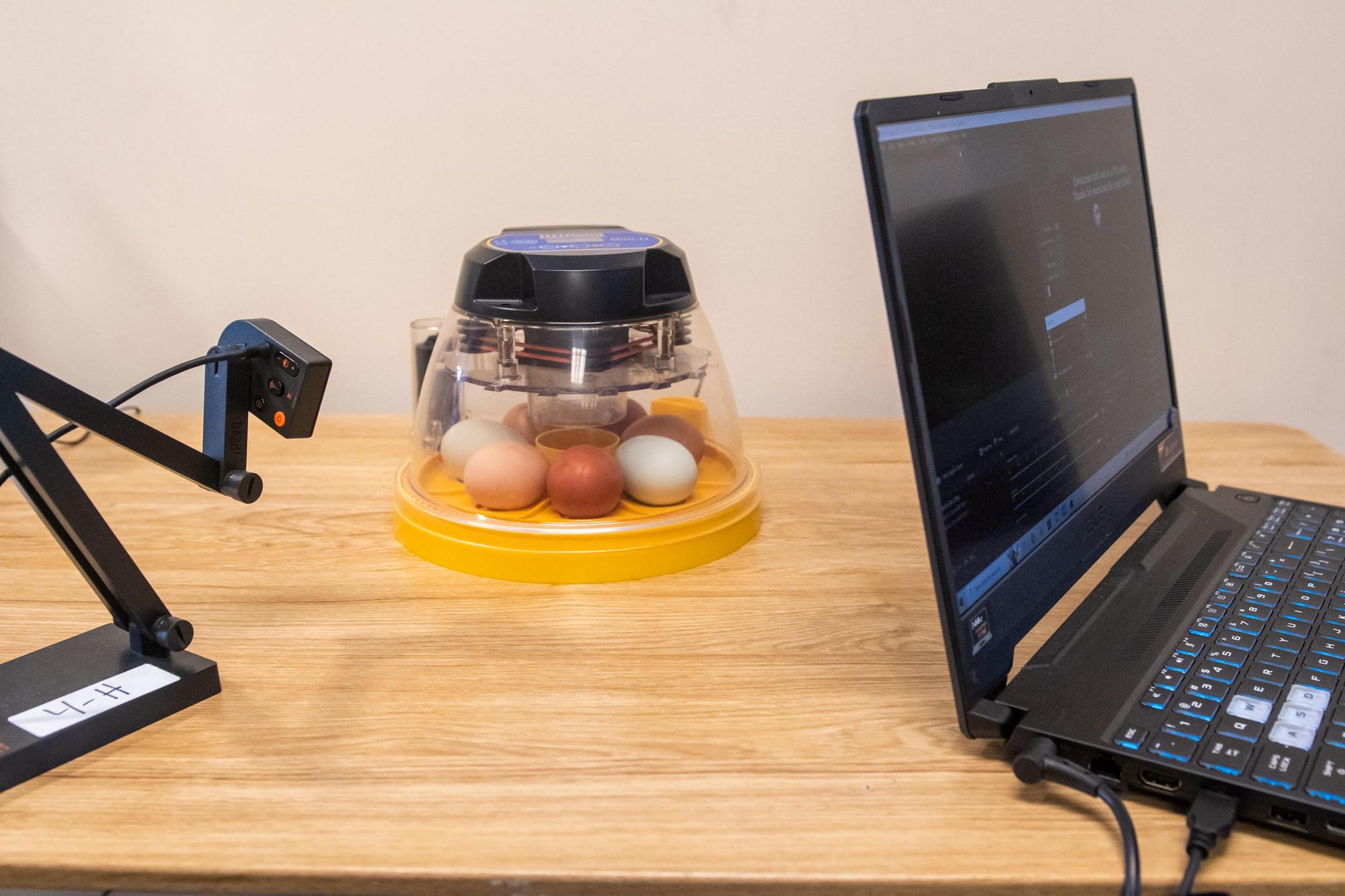 A simulation of how OSU Extension in Clatsop County creates a livestream of eggs being hatched in an incubator.