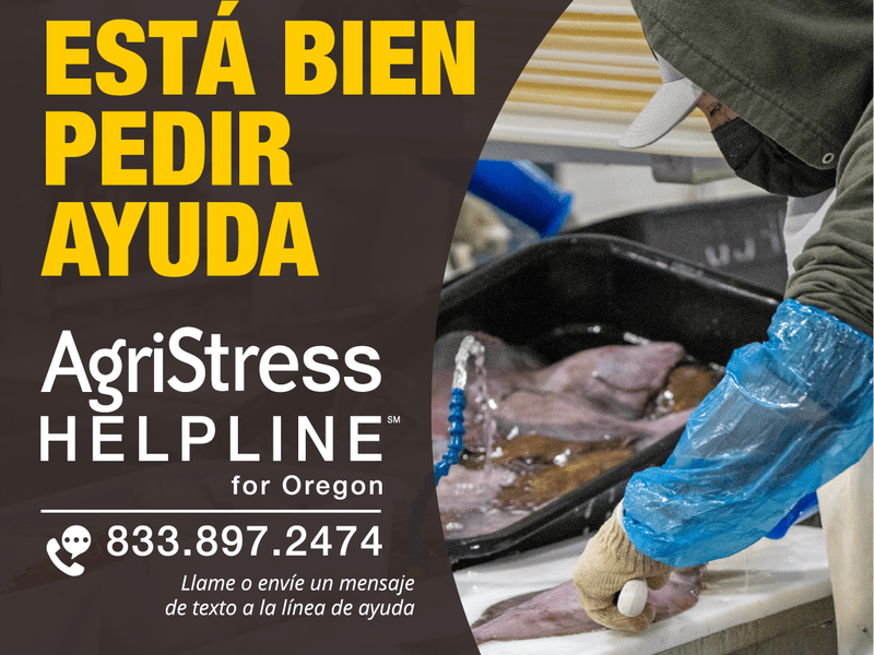 Fisherman processing fish AgriStress Helpline in Spanish - 833-897-2474