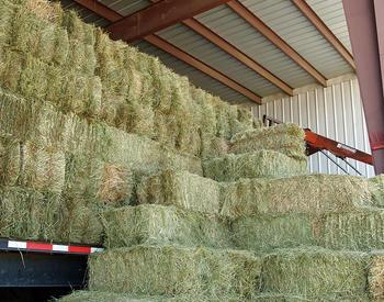 Stacks of hay bales in a barn.