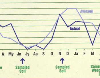 For the first 4 months, between fertilization and the first soil sample, actual rainfall was higher than average. For the remaining 9 months, actual rainfall was lower than average.