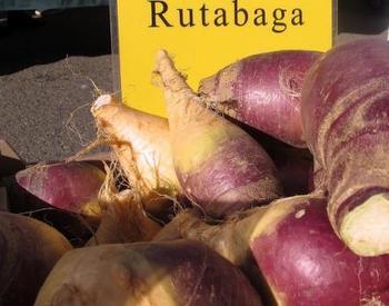 Rutabaga pile in front of a yellow "Rutabaga" sign