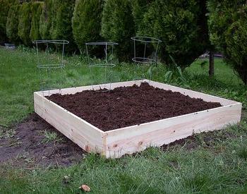 Raised bed made out of wood