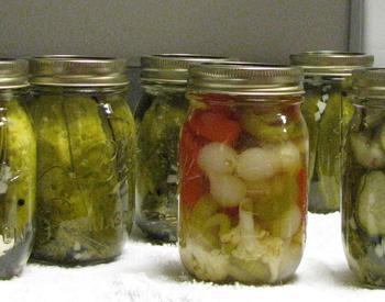 An eye-level view of five jars of pickles and one jar of pickled mixed vegetables.