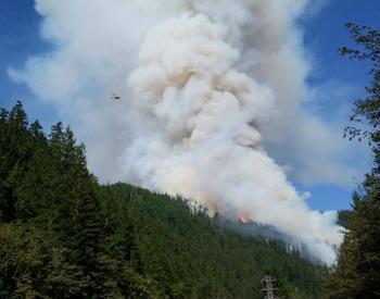 Plume of smoke above forest fire
