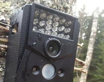 A remote camera mounted on a post outdoors.