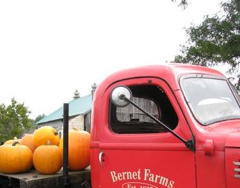 Bernet Farms truck with pumpkins on the back