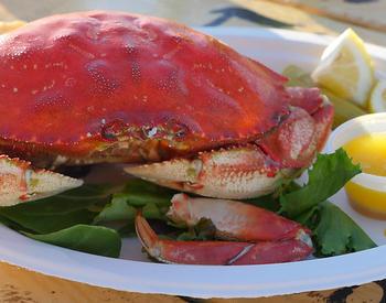 Dungeness crab dinner with melted butter and lemon