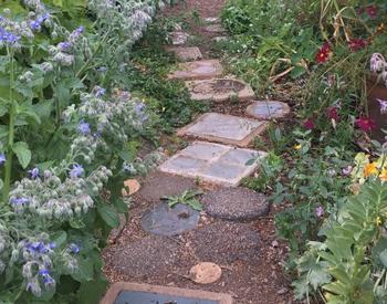 garden path in pollinator garden