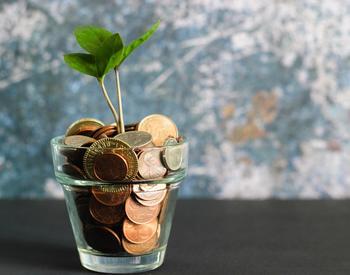 coins in a glass with seedling growing out of it