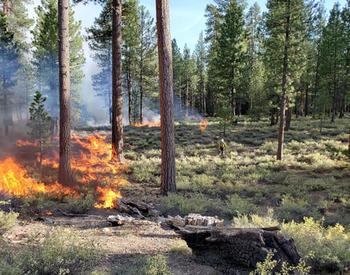 Prescribed burns are an important part of wildfire management