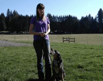 Girl training dog with dumbbells