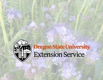 OSU Extension logo overlayed on photo of phacelia with a bumble bee